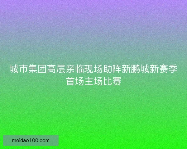 城市集团高层亲临现场助阵新鹏城新赛季首场主场比赛