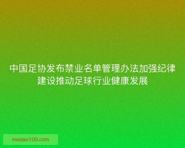 中国足协发布禁业名单管理办法加强纪律建设推动足球行业健康发展