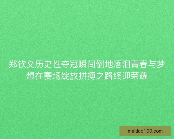 郑钦文历史性夺冠瞬间倒地落泪青春与梦想在赛场绽放拼搏之路终迎荣耀