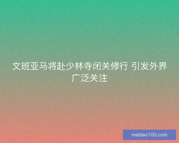 文班亚马将赴少林寺闭关修行 引发外界广泛关注